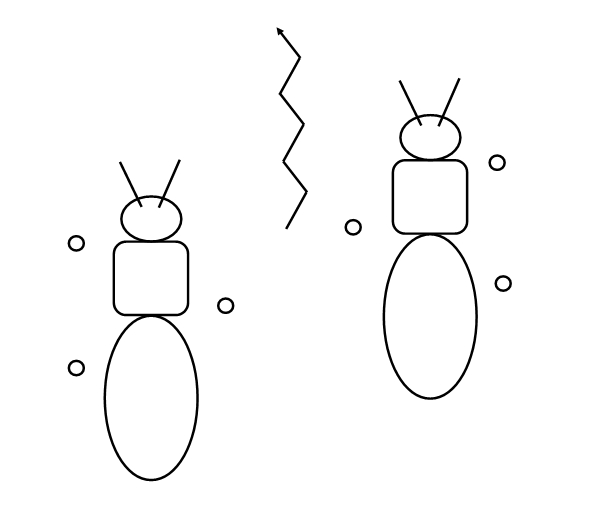 insect walking pattern 1