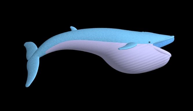 Pov-ray model of a whale